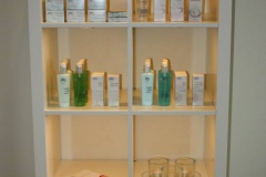 Salon041